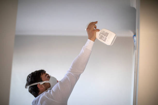 Best Office Mold Removal Services  in The Plains, OH