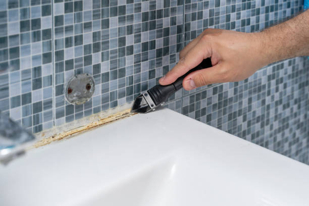 Best Best Mold Removal Companies  in The Plains, OH