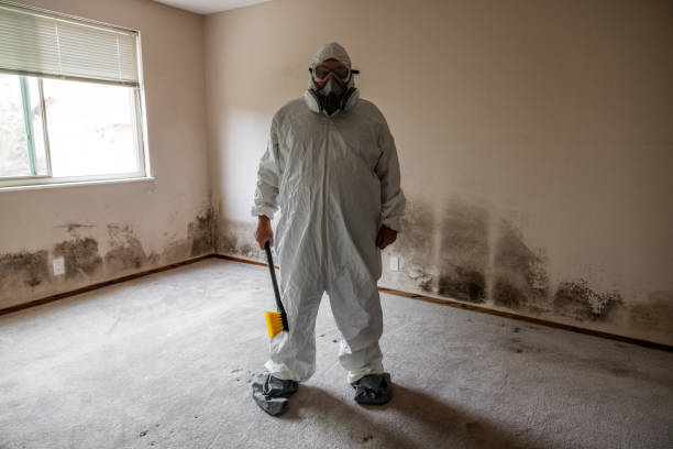 Best Crawl Space Mold Removal  in The Plains, OH